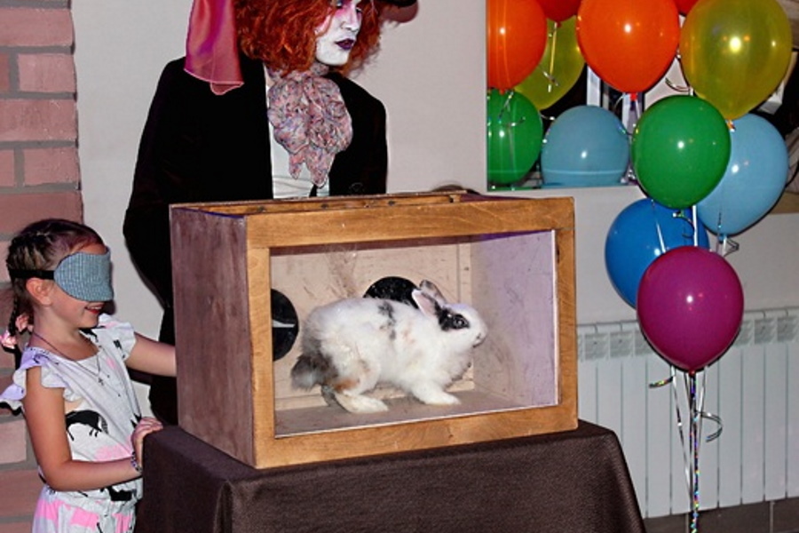 Квест в реальности В поисках Шляпника от компании Тайное место Квест в реальности В поисках Шляпника от компании Тайное место