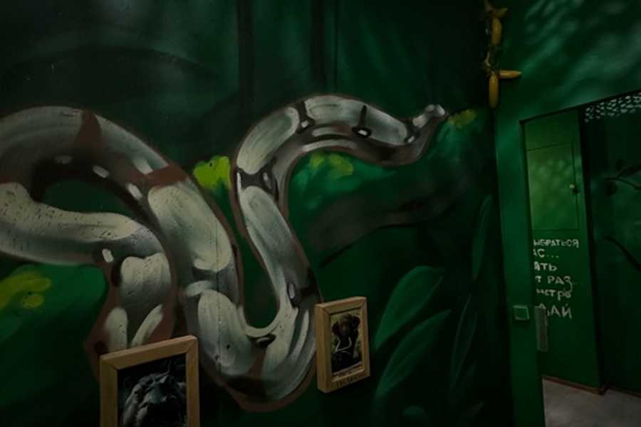 Квест в реальности Джуманджи от компании Mistik Quest Квест в реальности Джуманджи от компании Mistik Quest