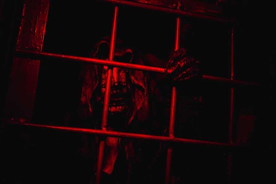 Квест в реальности Зов древних от компании Сахарная вата Квест в реальности Зов древних от компании Сахарная вата