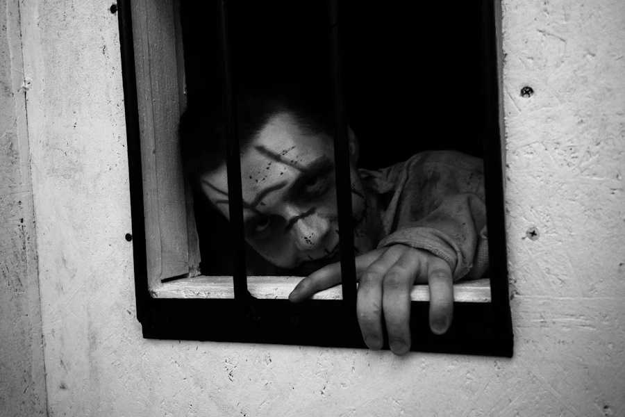 Квест в реальности Тварь от компании Quest Stars Квест в реальности Тварь от компании Quest Stars